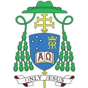 Diocesan Pastoral Council Report Response