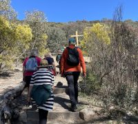 Mt Taylor