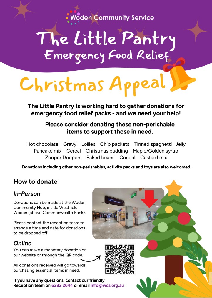 Christmas Appeal & Mario Raffle Supporting Little Pantry